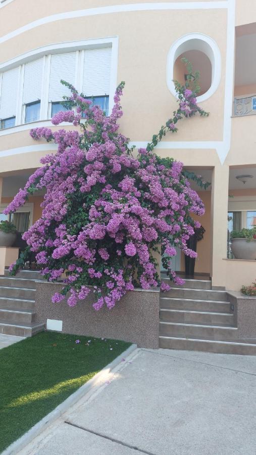 Residence Gordana Selce Exterior foto